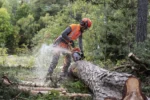 Benzin-Kettensäge 550XP MARK II HUSQVARNA – Bild 5
