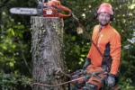 Benzin-Kettensäge 545 MARK II HUSQVARNA