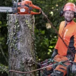 Benzin-Kettensäge 545 MARK II HUSQVARNA