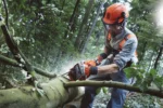 Benzin-Kettensäge 555 HUSQVARNA – Bild 3