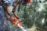 Benzin-Kettensäge 555 HUSQVARNA – Bild 2
