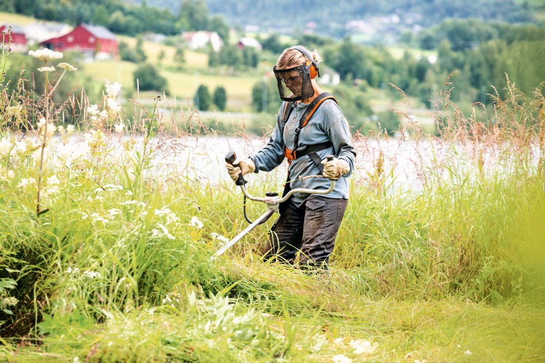 img-1-4 Freischneider FS240 STIHL – Bild 1