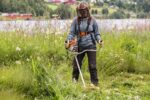 Freischneider FS240 STIHL – Bild 3