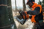Benzin-Kettensäge MS 661 C-M STIHL – Bild 2