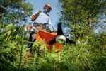 Freischneider FS240 STIHL – Bild 2