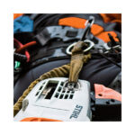 Baumpflegesäge MS 151 TC-E 25 cm STIHL – Bild 2